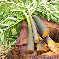 Sugarmute advanced Blood Sugar Support