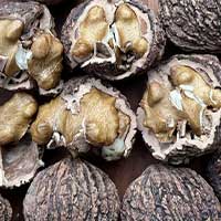 Sugarmute advanced Blood Sugar Support